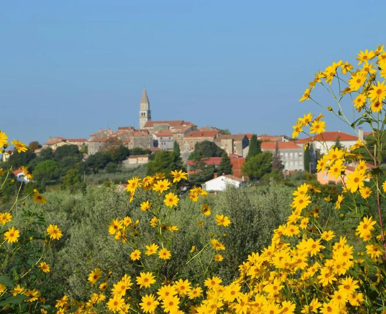 Villa Leopoldo By Istrian Country Houses Barat
