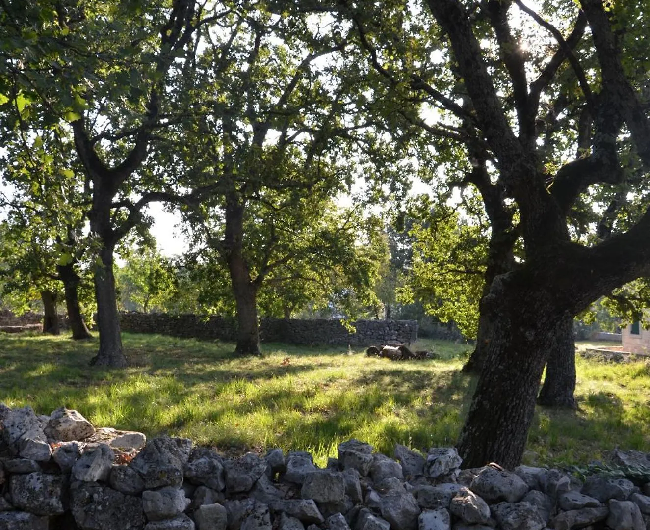 Villa Leopoldo By Istrian Country Houses Barat